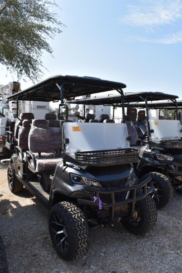 Hq100 Electric Golf Cart (Serial # Lc10026040249)