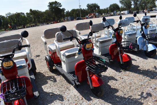 MINI ELECTRIC GOLF CART (SERIAL # LQXH202605JS00160)
