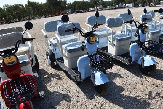 Mini Electric Golf Cart (Serial # Lqxh202605js00269)