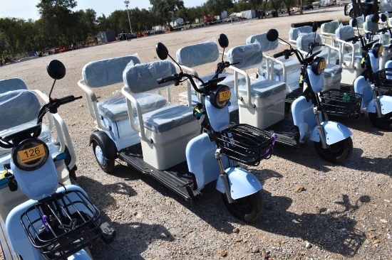 Mini Electric Golf Cart (Serial # Lqxh202605js00113)