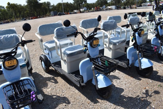 Mini Electric Golf Cart (Serial # Lqxh202605js00228)