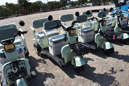Mini Electric Golf Cart (Serial # Lqxh202605js00170)