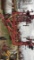 Case IH 4900 Field Cultivator