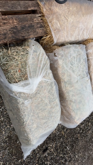Square bales of Grass Hay