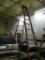 12' Werner 300lb Ladder