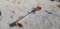 Stihl 28.8 CC Line Trimmer M#: FS91R / S#: 514360663 / Year: 2018 / Engine: 28.8 CC Stihl / Hours: N