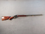 UNKNOWN LEVER ACTION RIFLE, NVSN