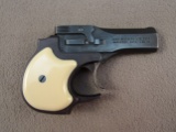 handgun: HI STANDARD Derringer Model D100, Single Shot, .22cal over and under, S#2143748