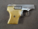 handgun: S&W Model 61-2 Escort, Semi-Auto Pistol, 22LR, 5 shot, 2