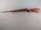 H&R Model 700, Semi-Auto Rifle, 22WMRF, S#AR501925