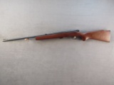 H&R Model 700, Semi-Auto Rifle, 22WMRF, S#AS501021