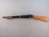 bb gun: DAISY Model 25