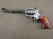 handgun: RUGER Model Single Nine, Revolver, .22mag, 9 shot, 6.5