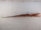 SAVAGE Model Sporter, Bolt-Action Rifle, .25-20, S#NVSN