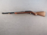 GLENFIELD Model 60, Semi-Auto Rifle, .22LR, S#26429156