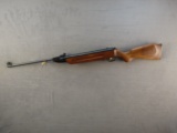 air rifle: WINCHESTER Model 1000X, Semi-Auto Air Rifle, .177, S#047566
