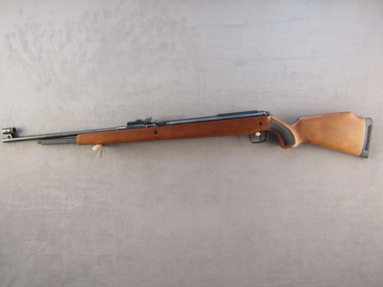 bb gun: RWS Model 50, Semi-Auto, .177