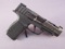 handgun: SIG SAUER Model P365, Semi-Auto Pistol, 9mm, 12 shot, 3.5
