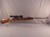 bb gun: DIANA Model 350, .177