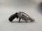 handgun: S&W Model Governor, Revolver, .45 Colt/.410, 6 shot, 2.75
