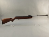 pellet gun: REMINGTON Model RW1K77X2, .177