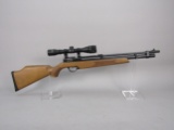 pellet gun: DIANA Model Stormrider, .177 4,5mm