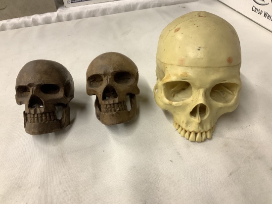 3 Decorative Skulls