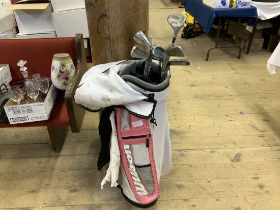 Golf clubs in Wilson  bag
