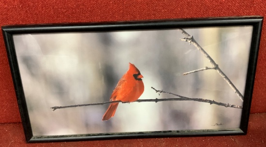 Framed Cardinal Photo