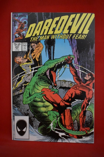 DAREDEVIL #247 | THE BACKWARDS MAN | CHARLES VESS - 1987