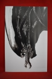 ALIEN #1 | 1ST MARVEL ALIEN SERIES | KEY TRAVIS CHAREST VIRGIN VARIANT