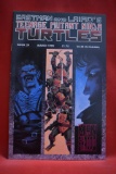 TEENAGE MUTANT NINJA TURTLES #29 | MEN OF SHADOW - VOLUME 1 | KEVIN EASTMAN