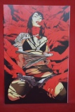 FAITHLESS II #1 | PREMIERE ISSUE - KRIS ANKA VIRGIN VARIANT