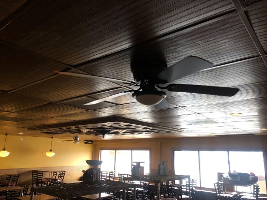 Two Ceiling Fans