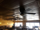 Two Ceiling Fans