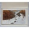 Bev Doolittle Print Doubled Back Signed Numbered