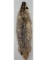 Montana Taxidermy Badger Fur Hide Pelt W/ Claws