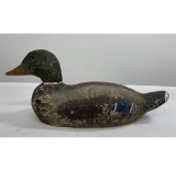 Victor Animal Trap Company Mallard Duck Decoy