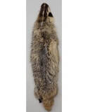 Montana Taxidermy Badger Fur Hide Pelt W/ Claws
