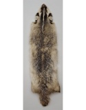 Montana Taxidermy Badger Fur Hide Pelt