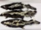 Lot Of Montana Taxidermy Skunks W/ Claws #8