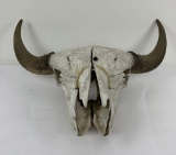 Montana Buffalo Skull Taxidermy