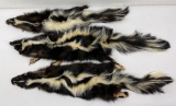 Lot Of Montana Taxidermy Skunks W/ Claws #2