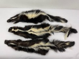 Lot Of Montana Taxidermy Skunks W/ Claws #3