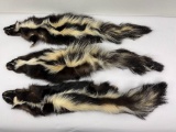 Lot Of Montana Taxidermy Skunks W/ Claws #4
