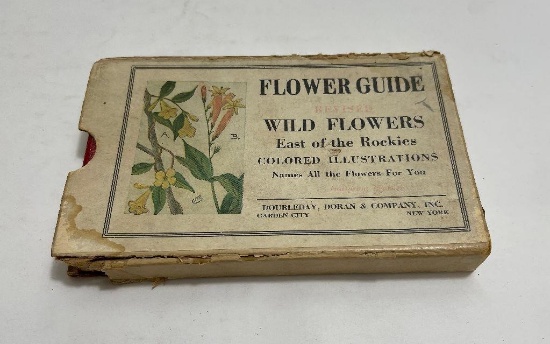 Wild Flowers East Of The Rockies Reed 1930
