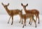 Breyer Horses Whitetail Deer Family