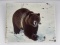 Danny On Montana Grizzly Bear Glacier Photo