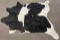 Tanned Holstein Steerhide Steer Bull Cow Rug