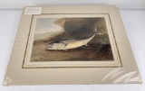 Samuel Kilbourne American Game Fish Lithograph